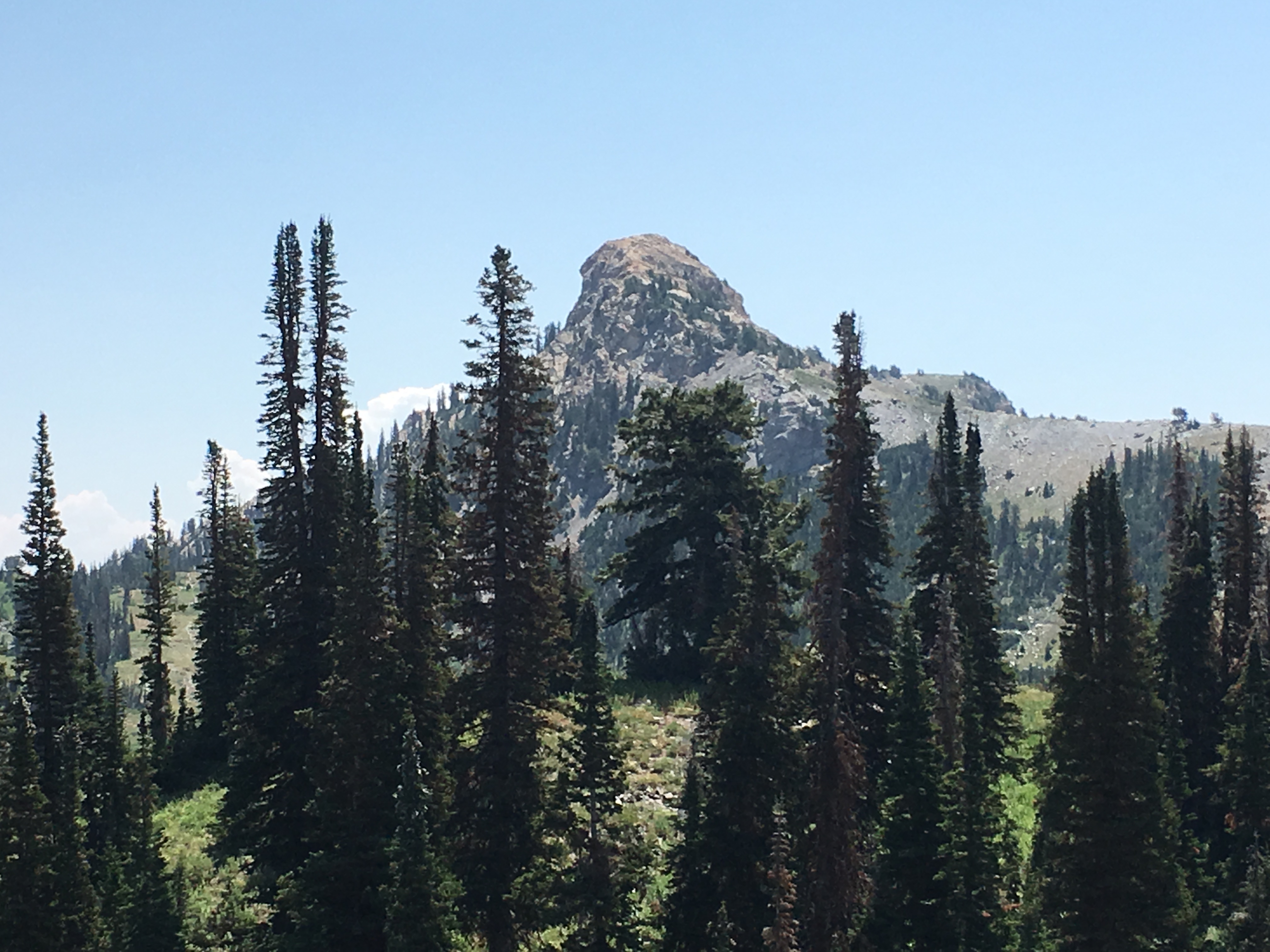 Willard Peak 02