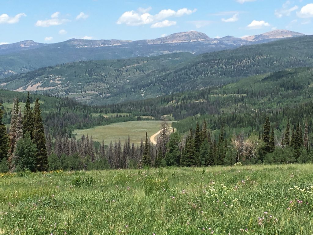 Soapstone BasinDuchesne Bluffs 04