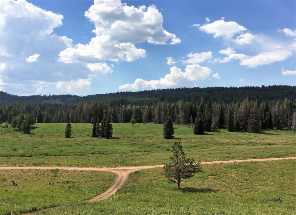 Whitney Reservoir Utah | Natural landmarks, Utah, Scenic Whitney Reservoir Utah | Natural landmarks, Utah, Scenic